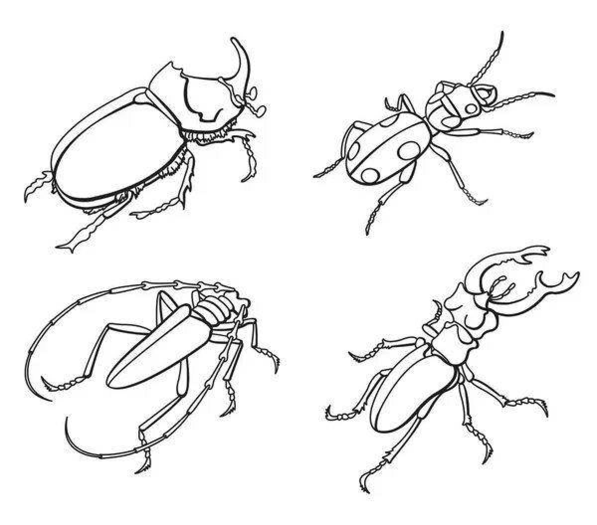 Stag beetle #8