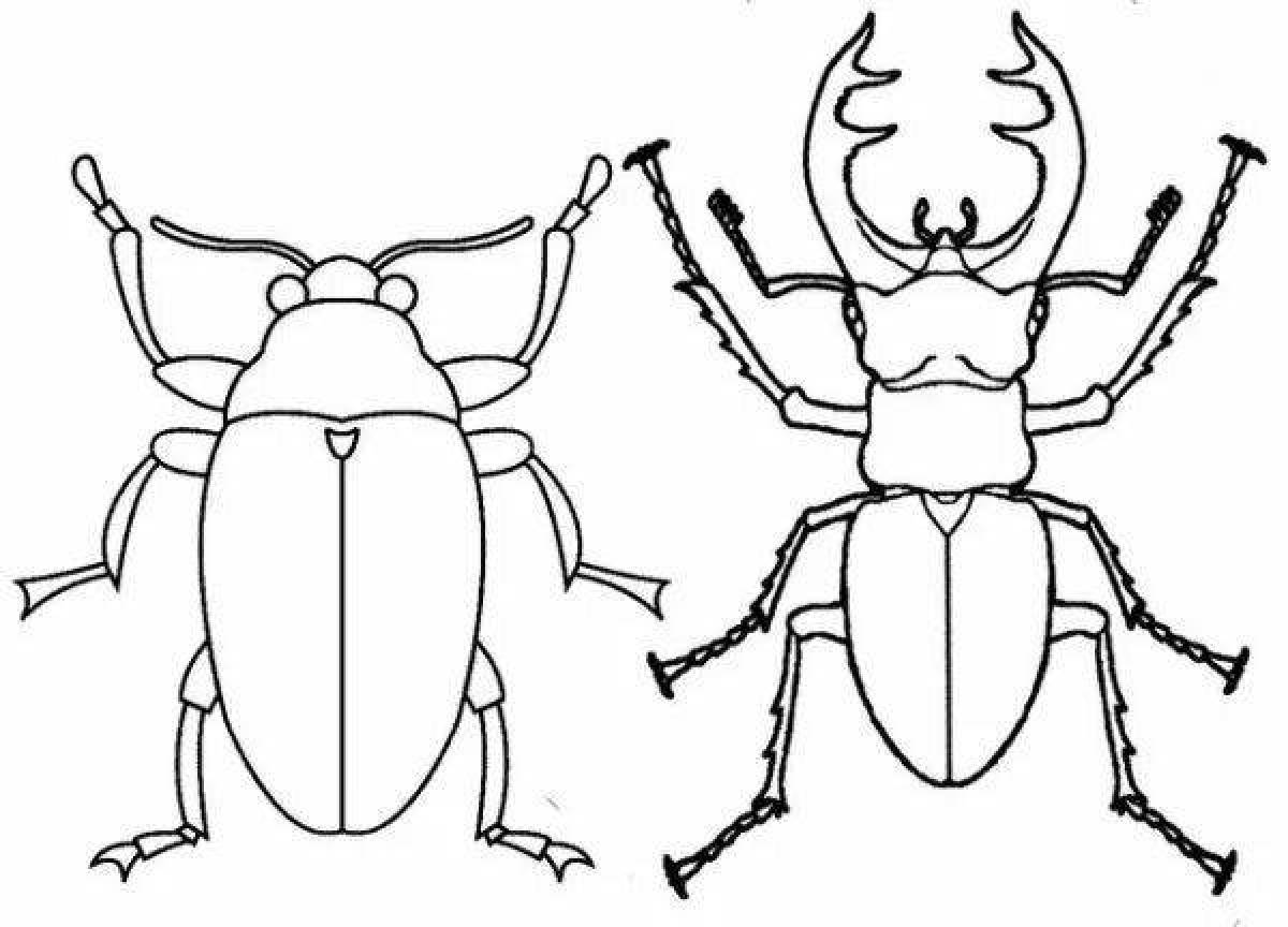 Stag beetle #9