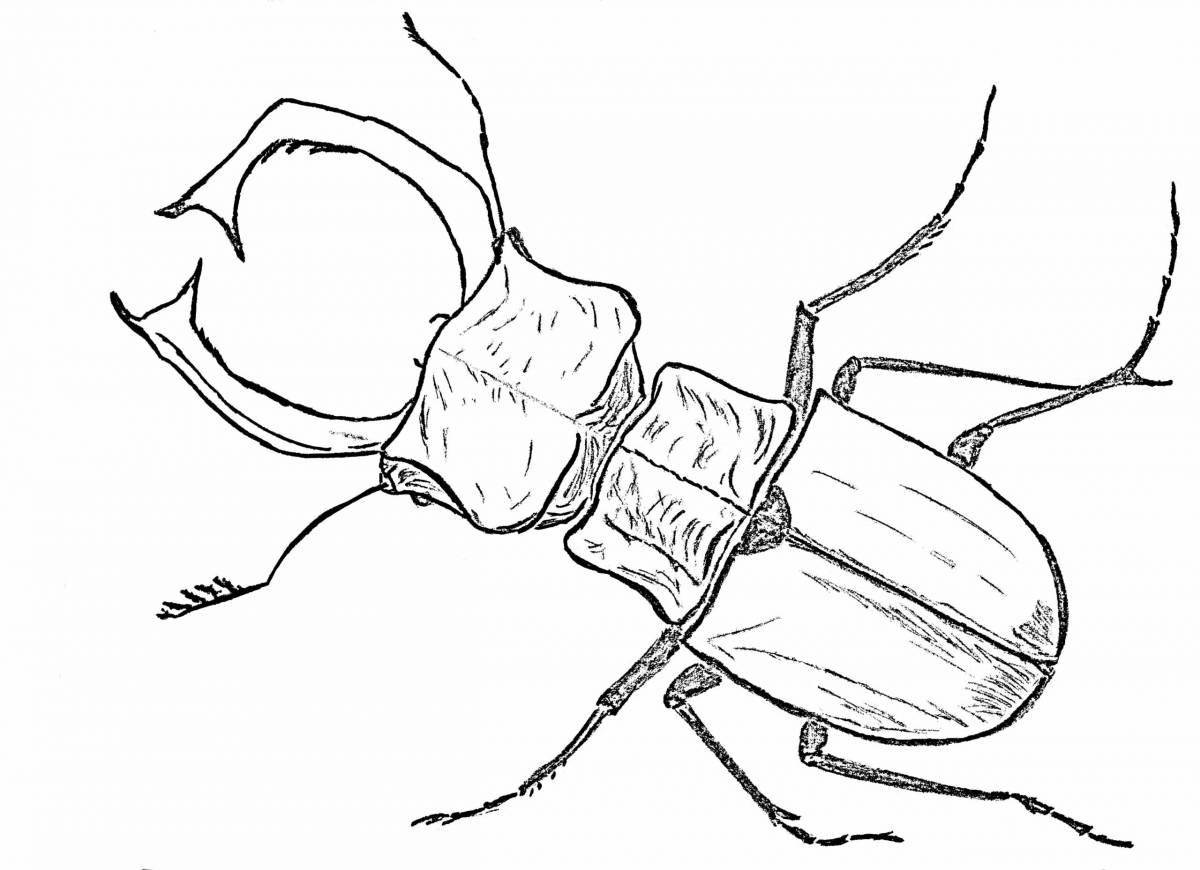 Stag beetle #14
