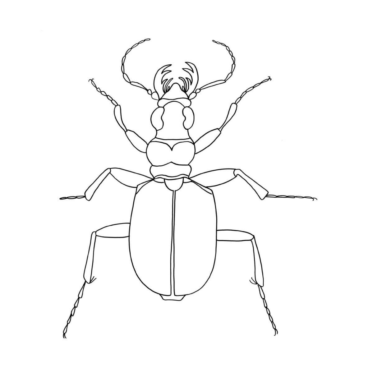 Stag beetle #15