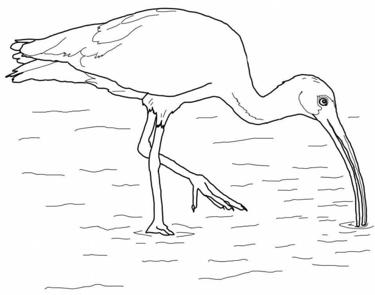Bright ibis paint coloring page