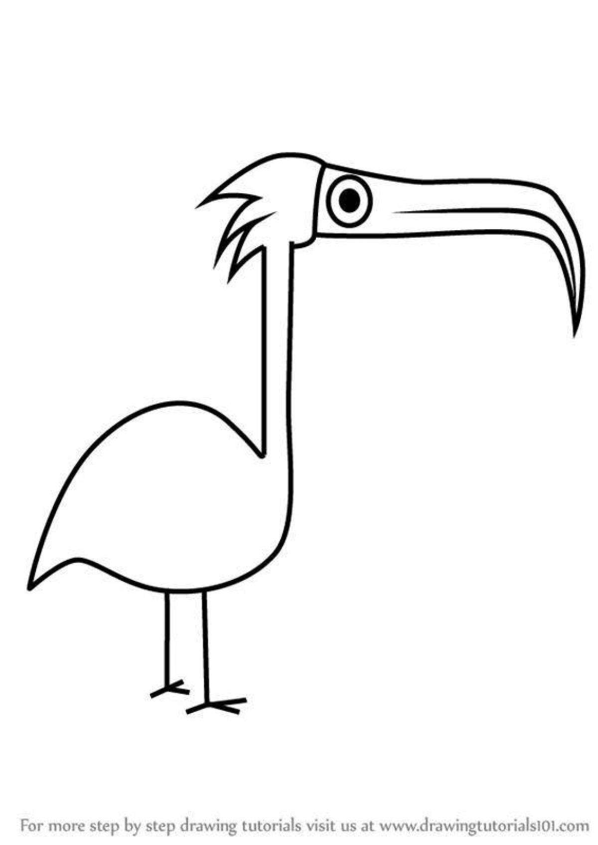 Раскраска splendid ibis paint