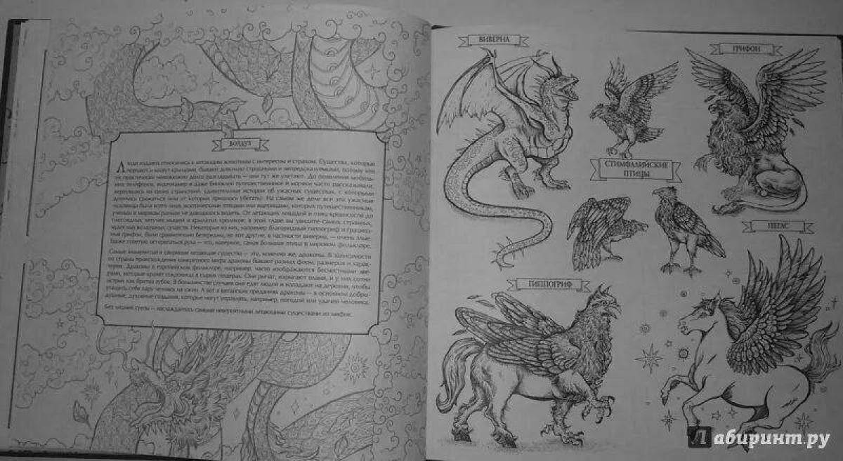 Adorable fantasy creature coloring book