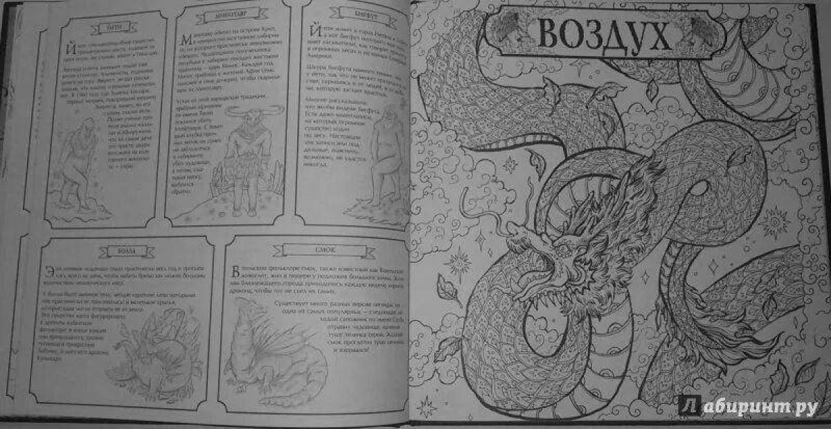 Exotic fantasy creature coloring book