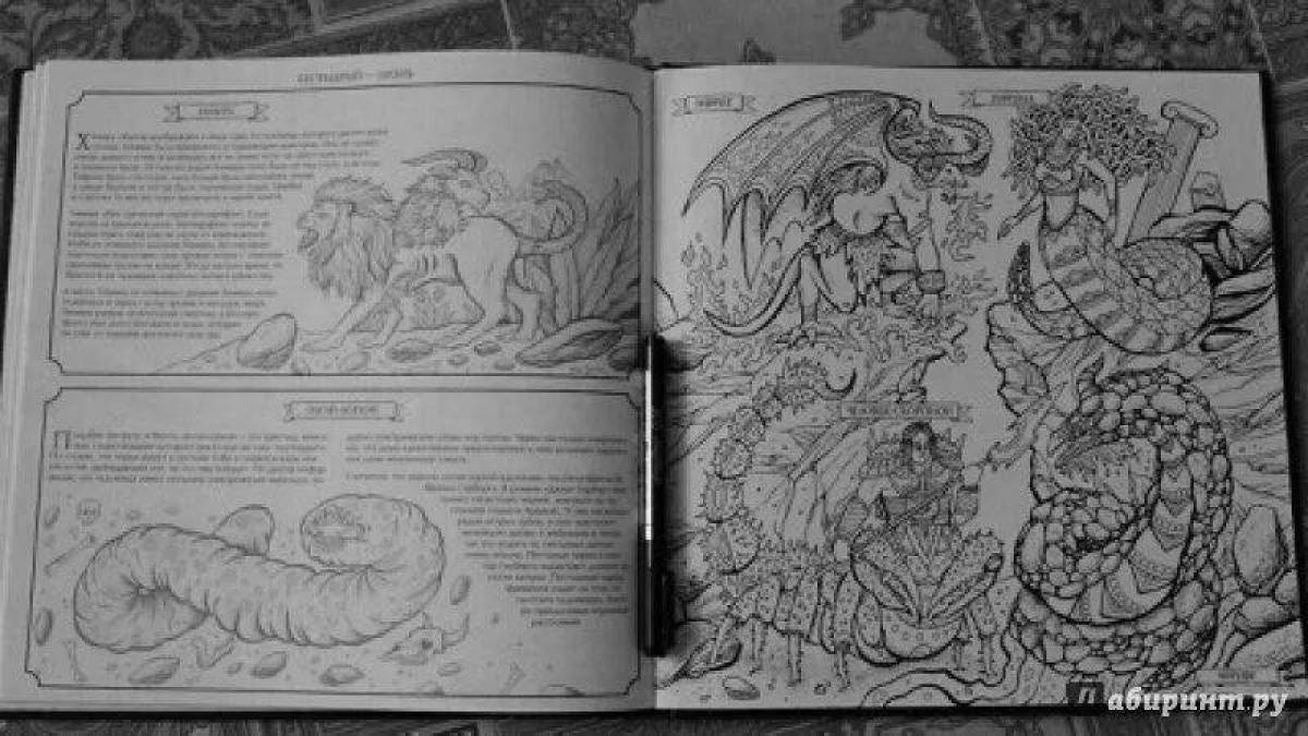 Wonderful coloring book with fantasy creatures