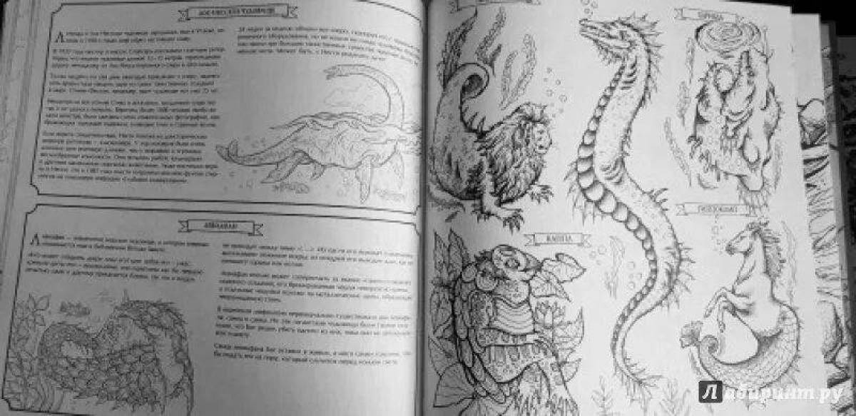 Exquisite fantasy creatures coloring book