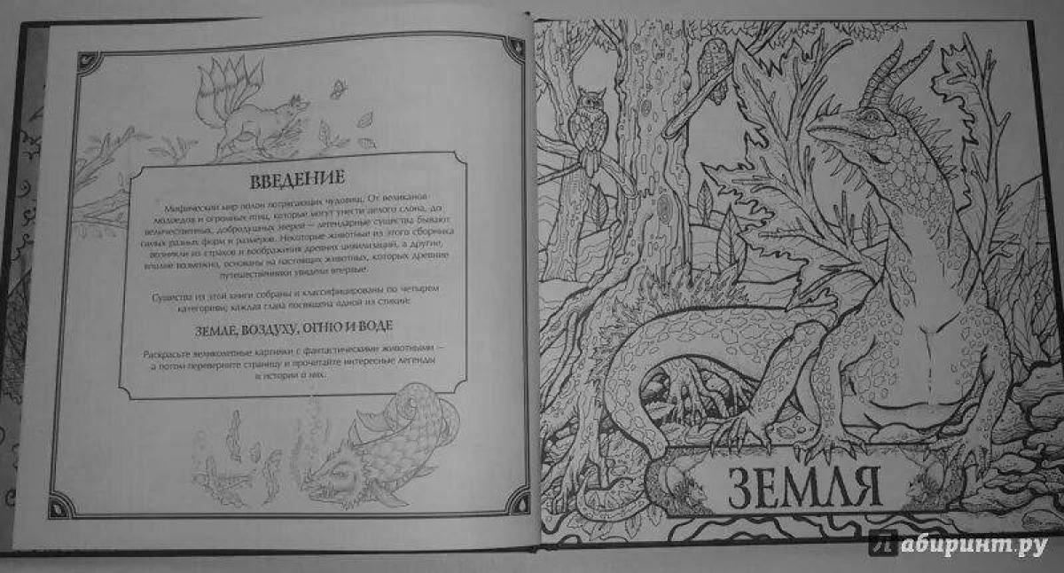 Amazing coloring book with fantasy creatures