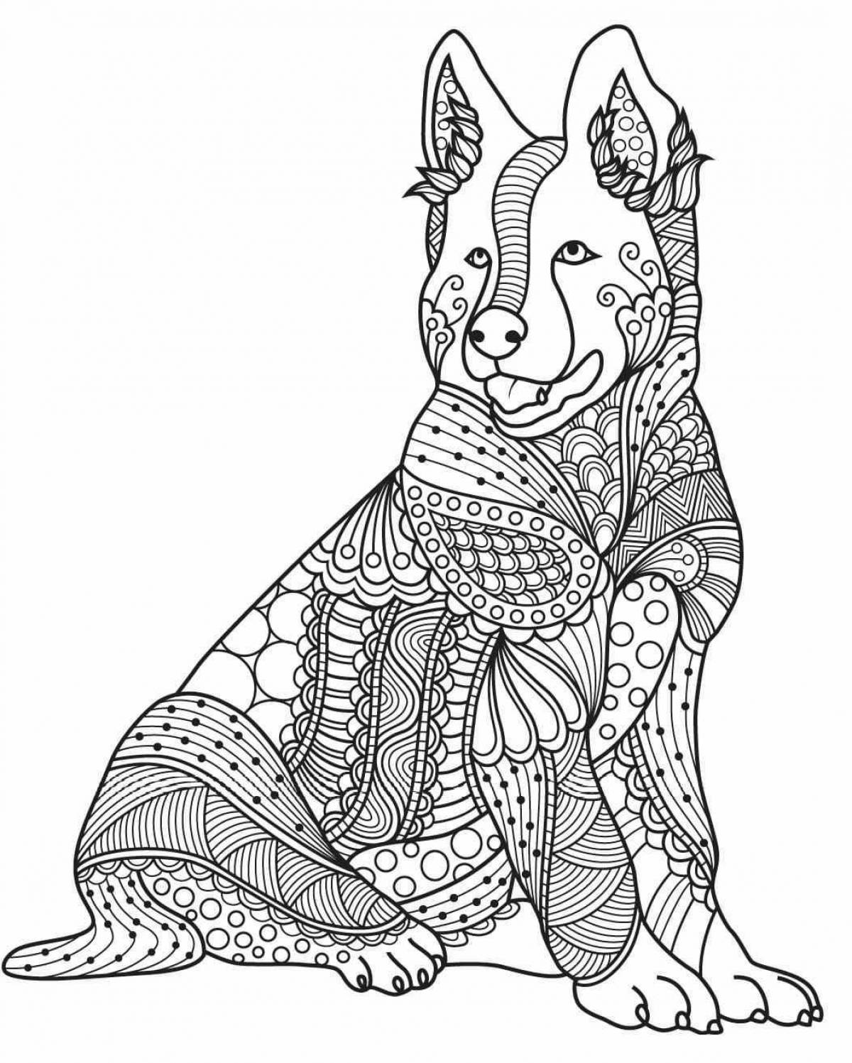 Adorable dog coloring with clothes