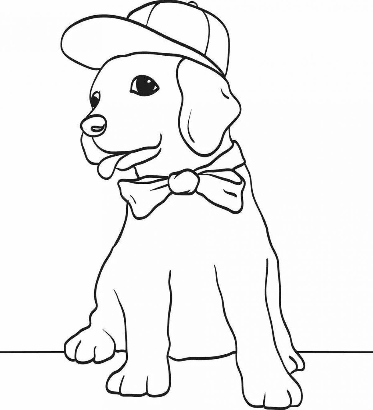 Glamorous coloring dog in clothes