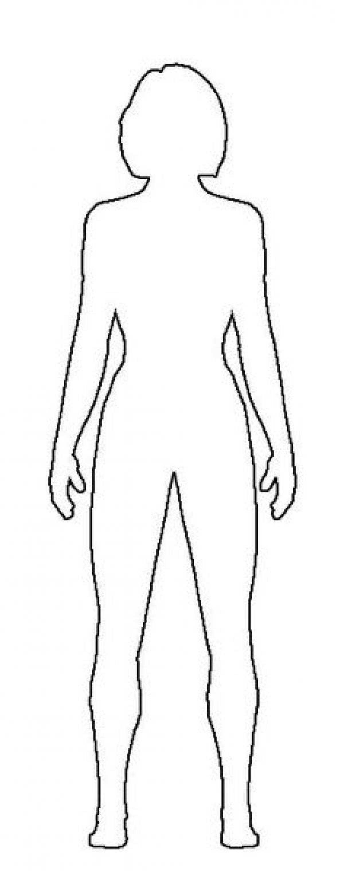 Рисунок человека схематично в полный рост