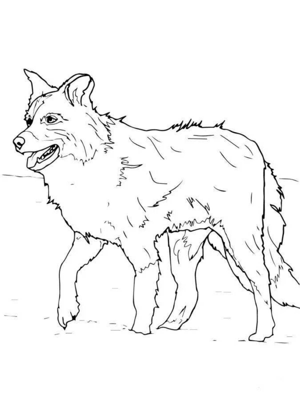 Coloring Pages Lassie (36 pcs) download or print for free 8652