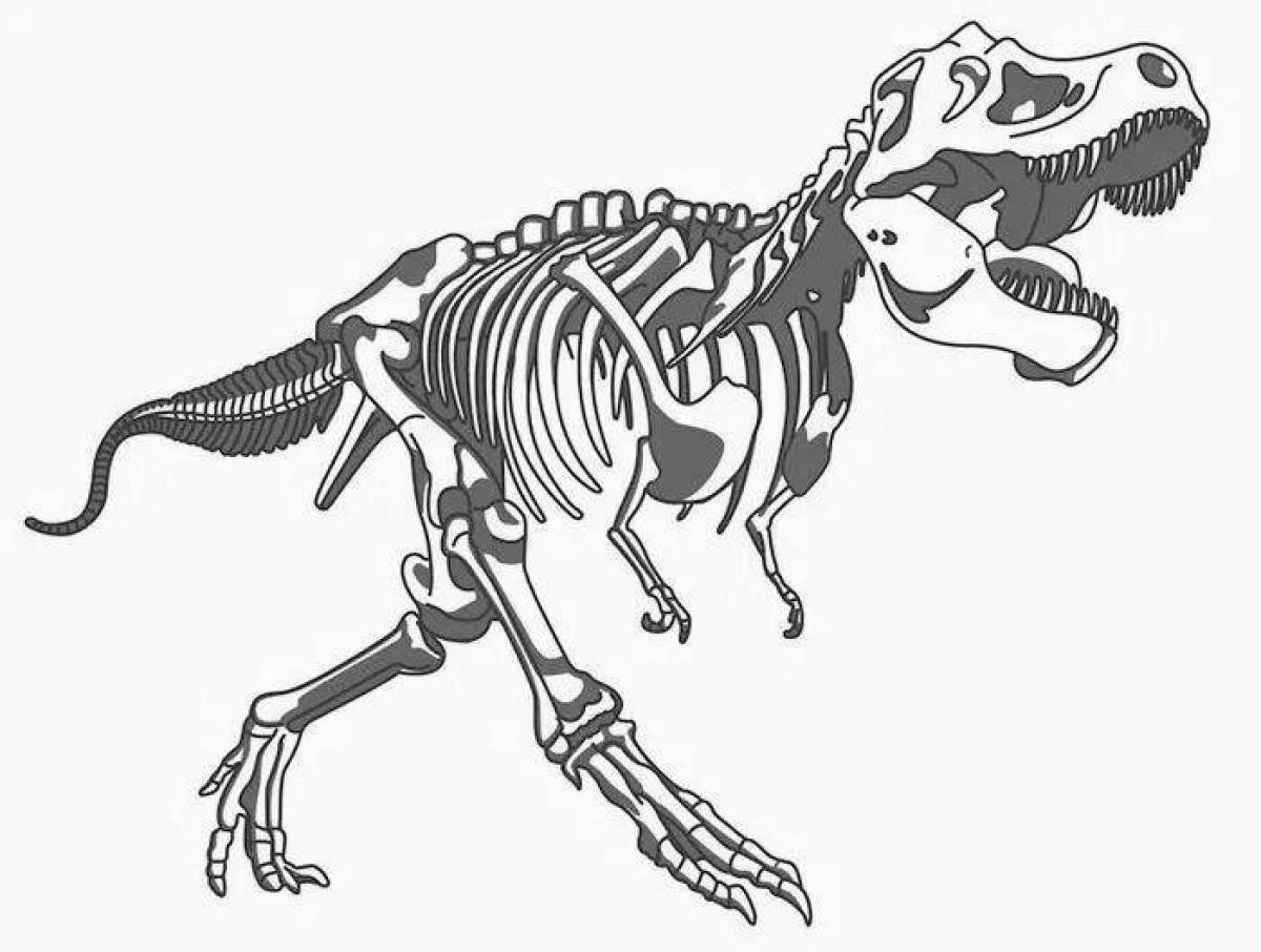 Скелет динозавра. Скелет тираннозавра Рекса рисунок. Скелет динозавра Тирекса. Скелет тираннозавра Рекса схема. Скелет тираннозавра вектор.