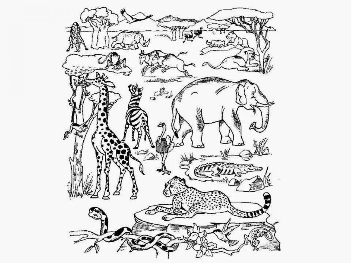 Животные группами раскраски. Раскраски. Животные. Животные Африки раскраска. Раскраска Африка. Раскраска "Дикие животные".