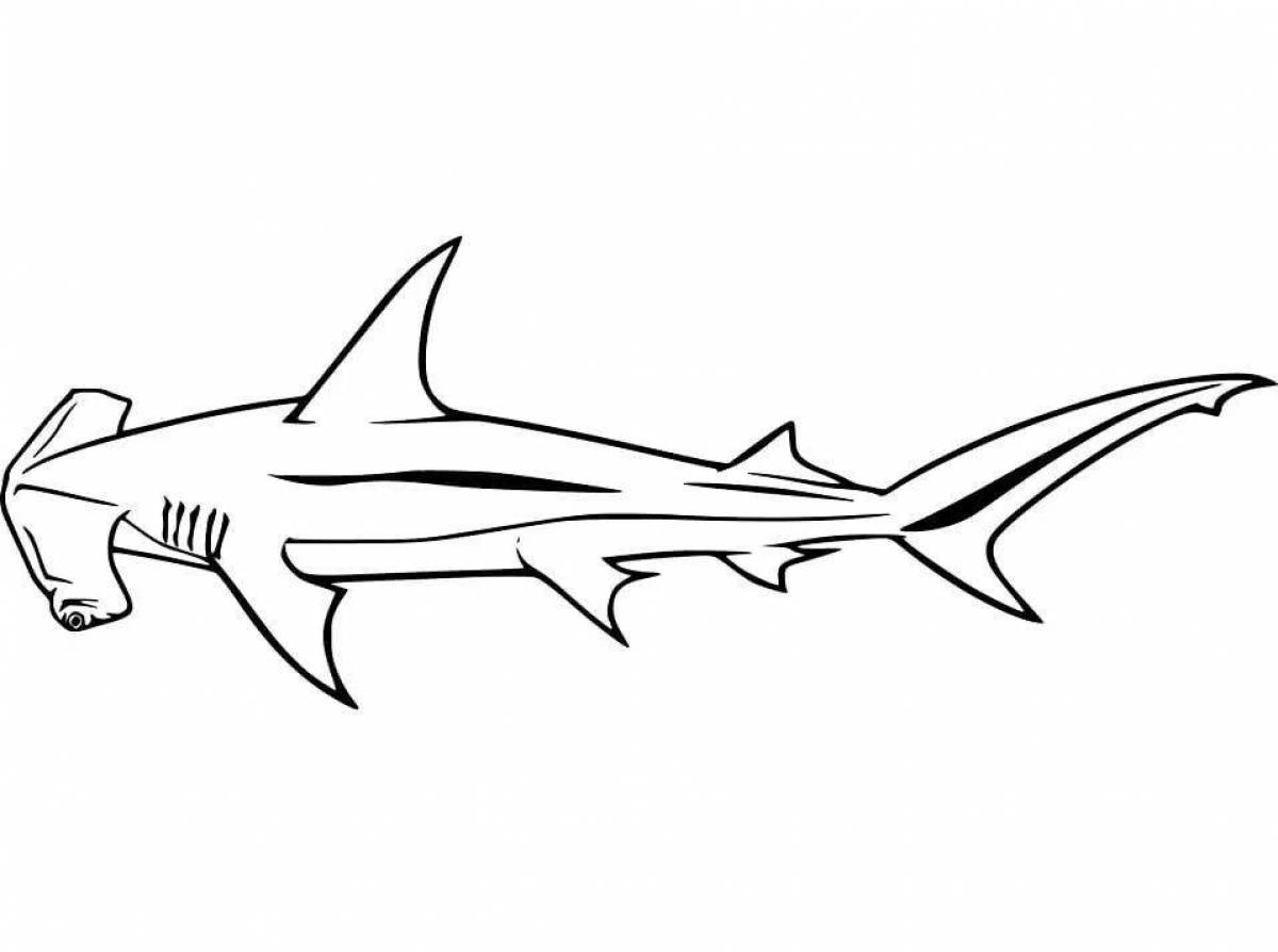 Акула контурный рисунок