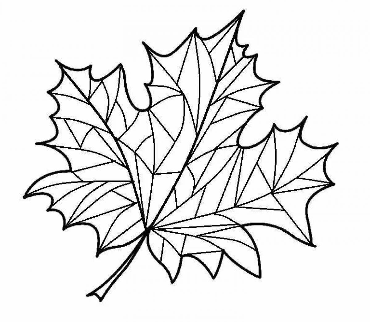 Раскраска листьев клена