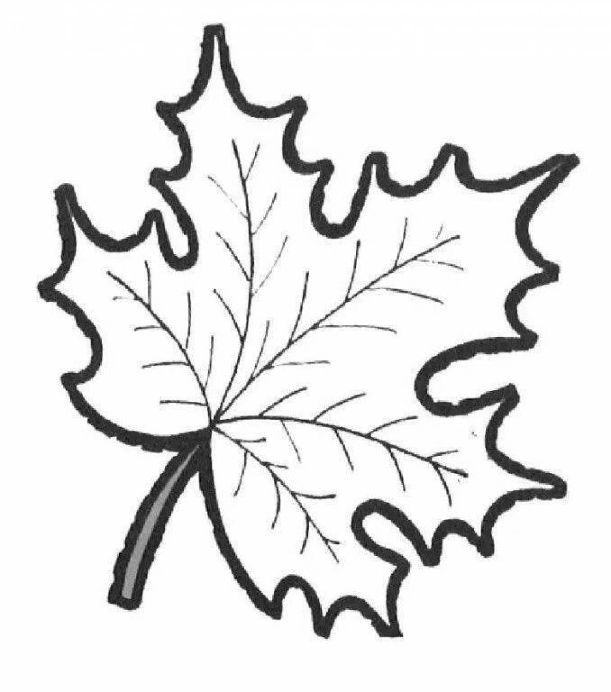 Elegant coloring autumn leaf pattern emoticon