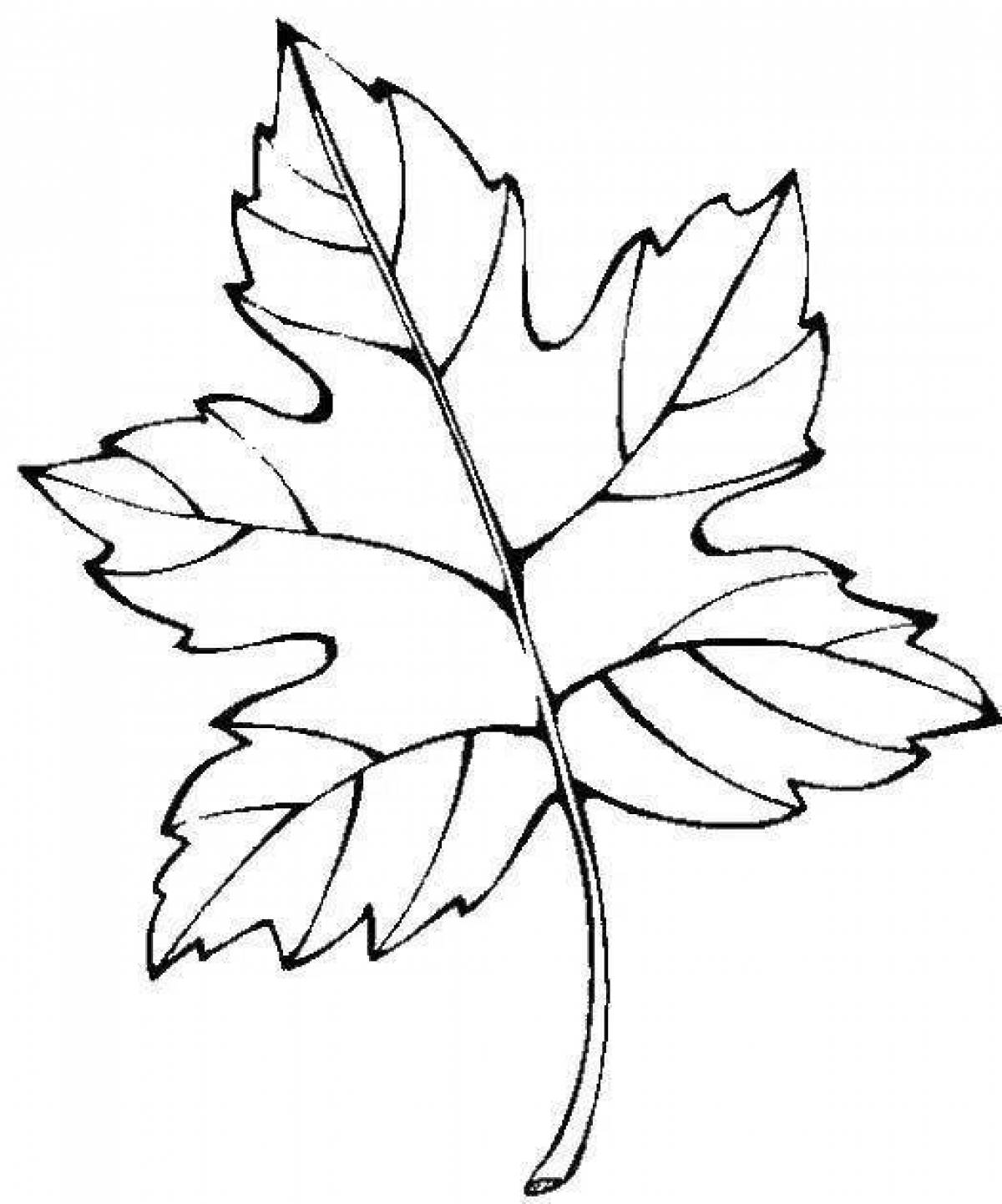 Fun coloring autumn leaf with a smiley face pattern