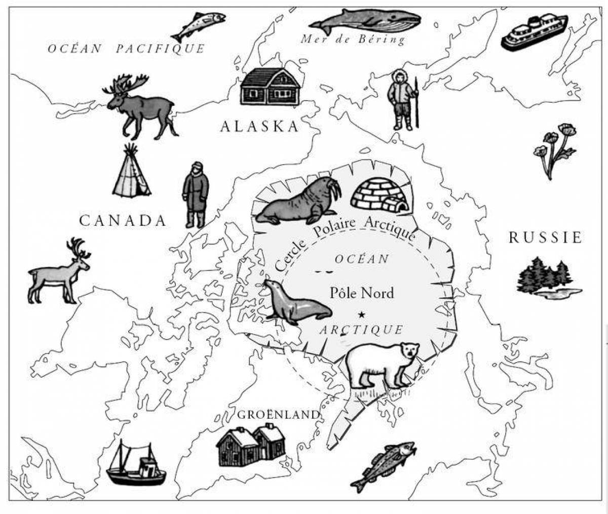 Rich map of Russia with animals