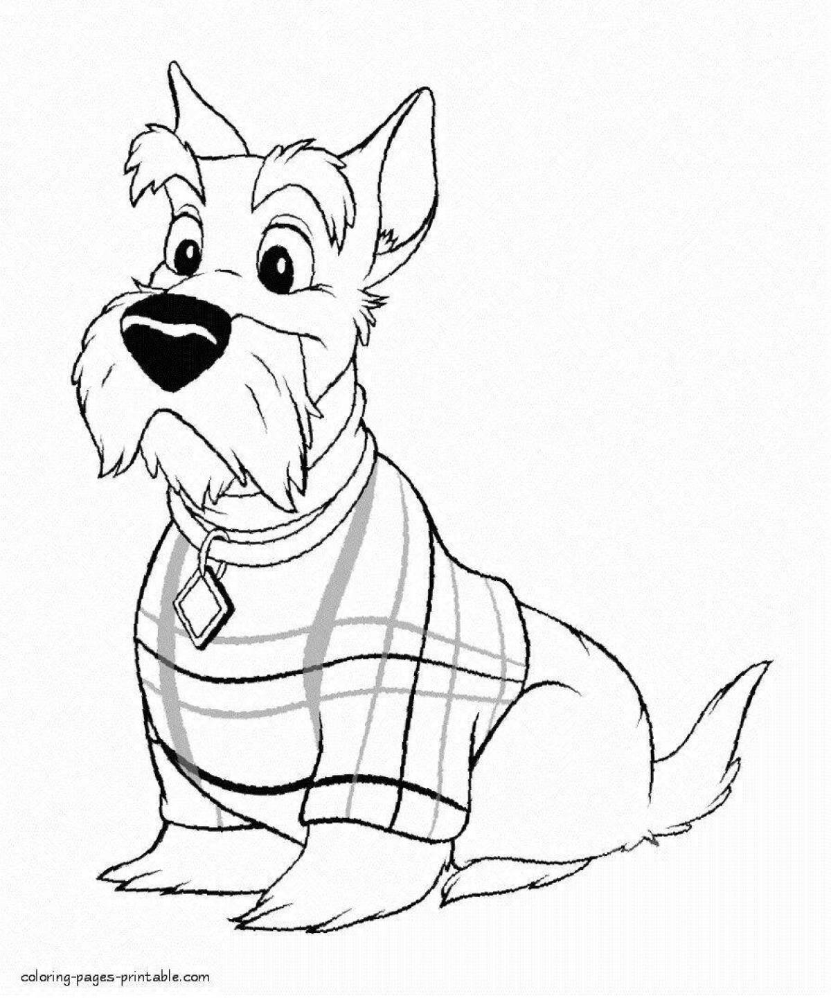 Wiggly miniature schnauzer coloring page