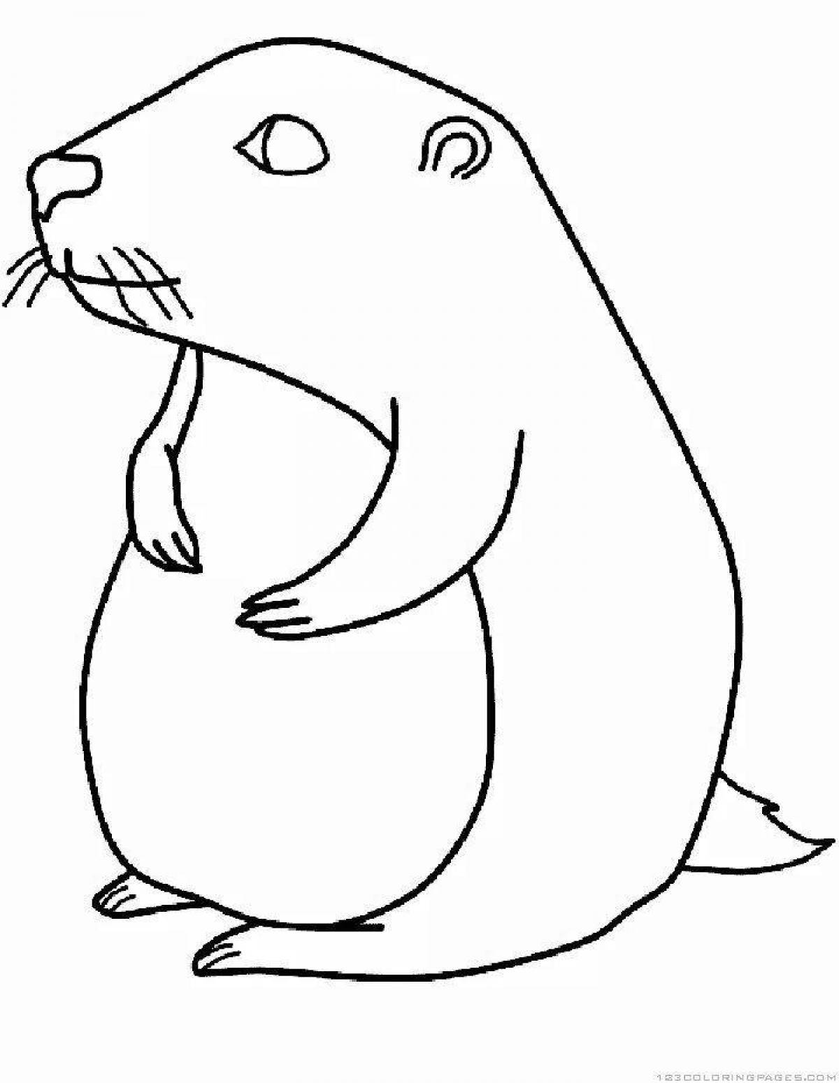 Coloring page playful marmot
