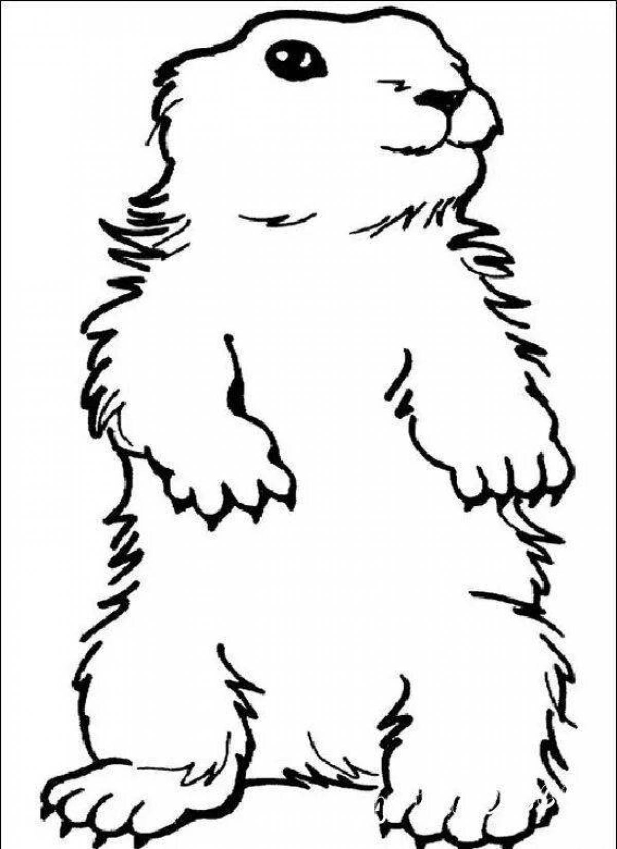 Glittering groundhog coloring page