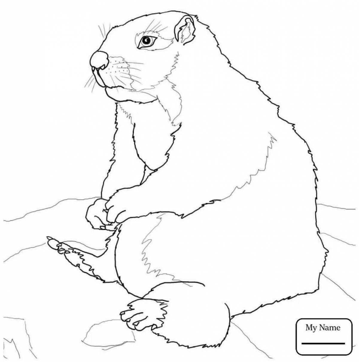 Cute groundhog coloring page