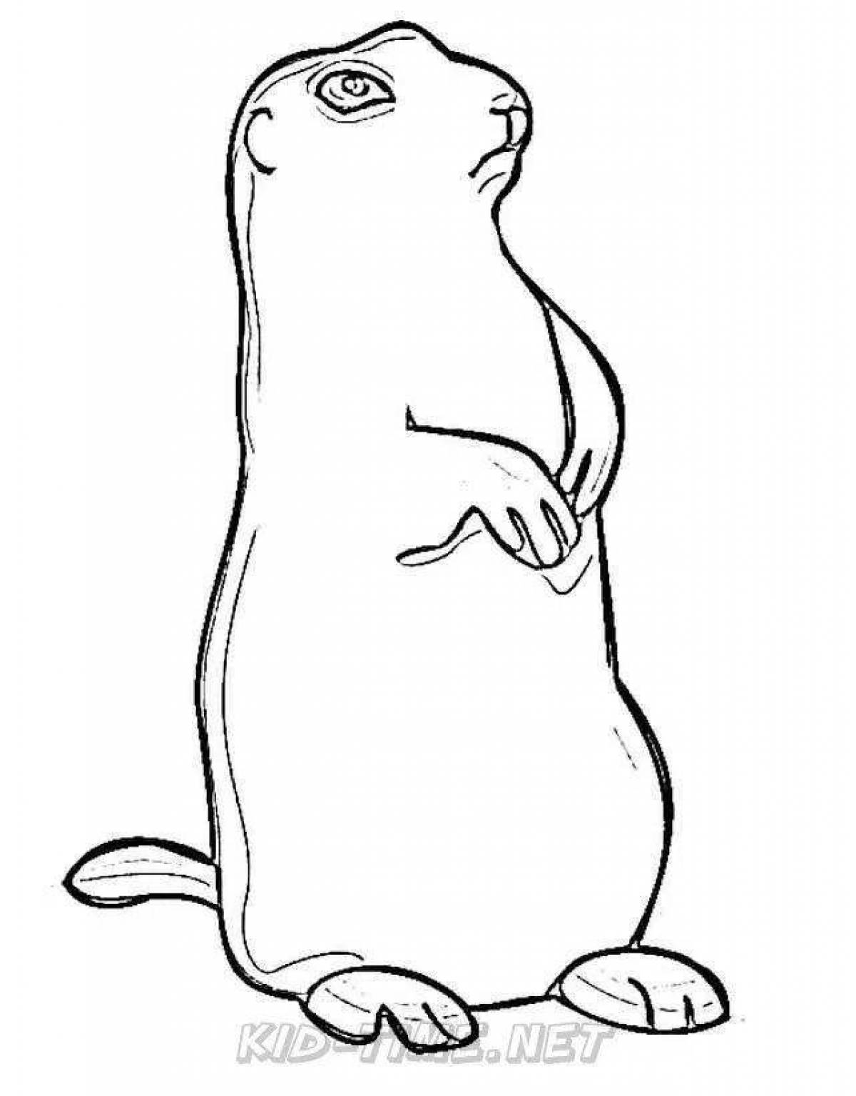 Attractive groundhog coloring page