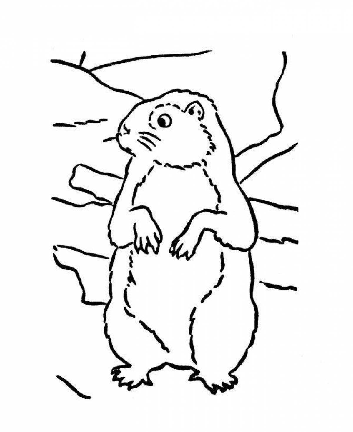 A funny groundhog coloring book