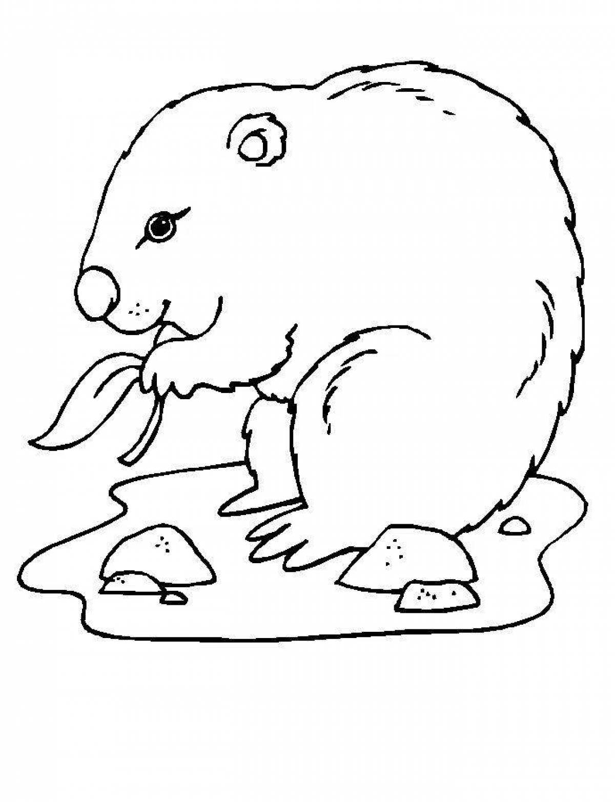 Glamour marmot coloring page