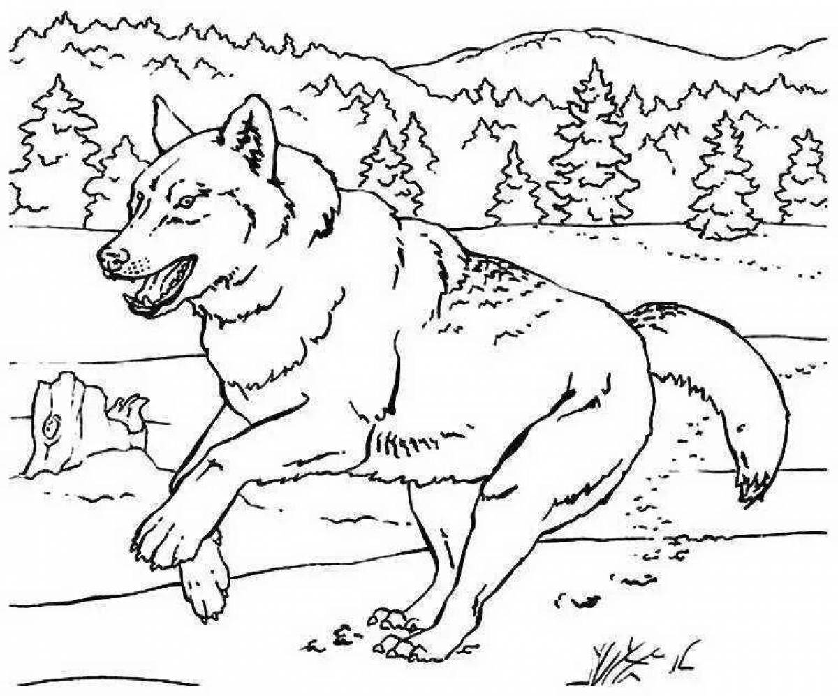 Lassie jubilant coloring page