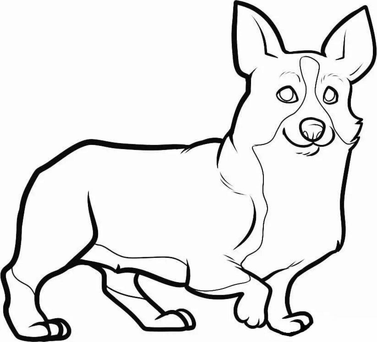 Naughty corgi puppy coloring page