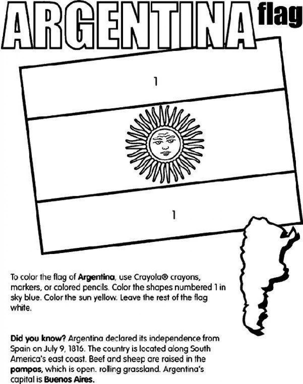 Argentina flag #4