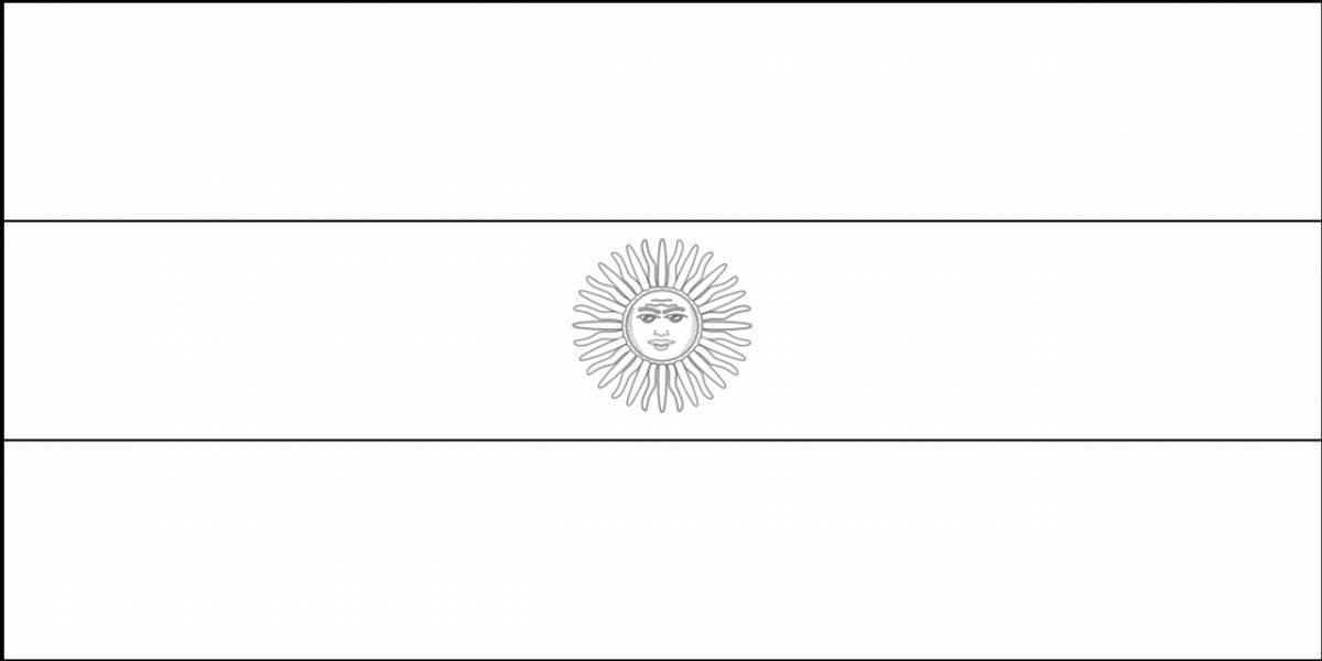 Argentina flag #12