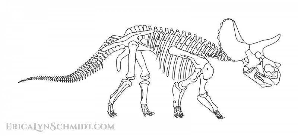 Dinosaur skeleton majestic coloring book