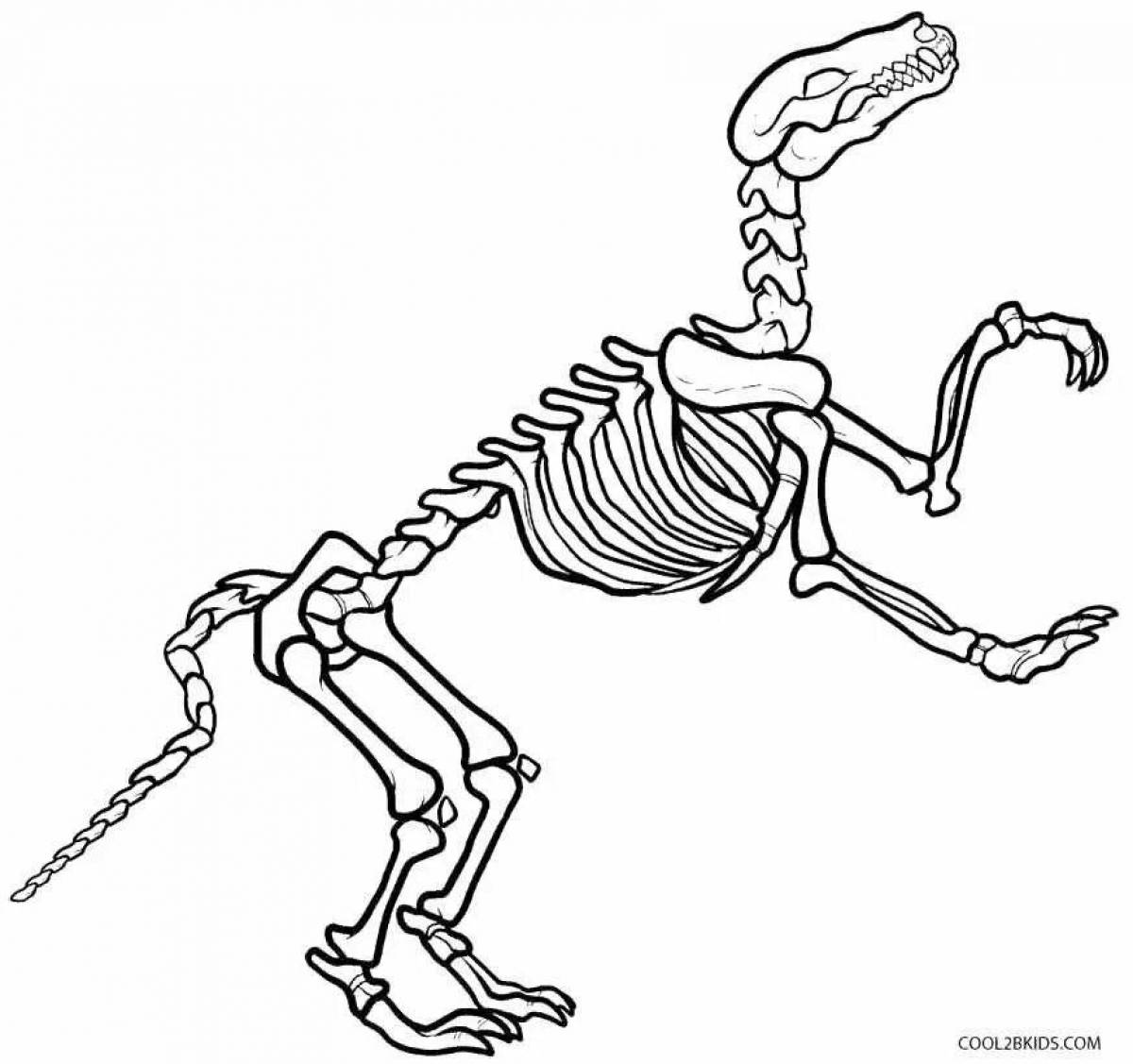 Великолепная раскраска скелет динозавра