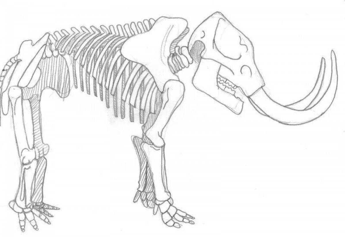 Царственная раскраска скелет динозавра