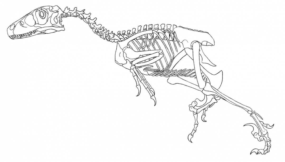 Elegant dinosaur skeleton coloring book