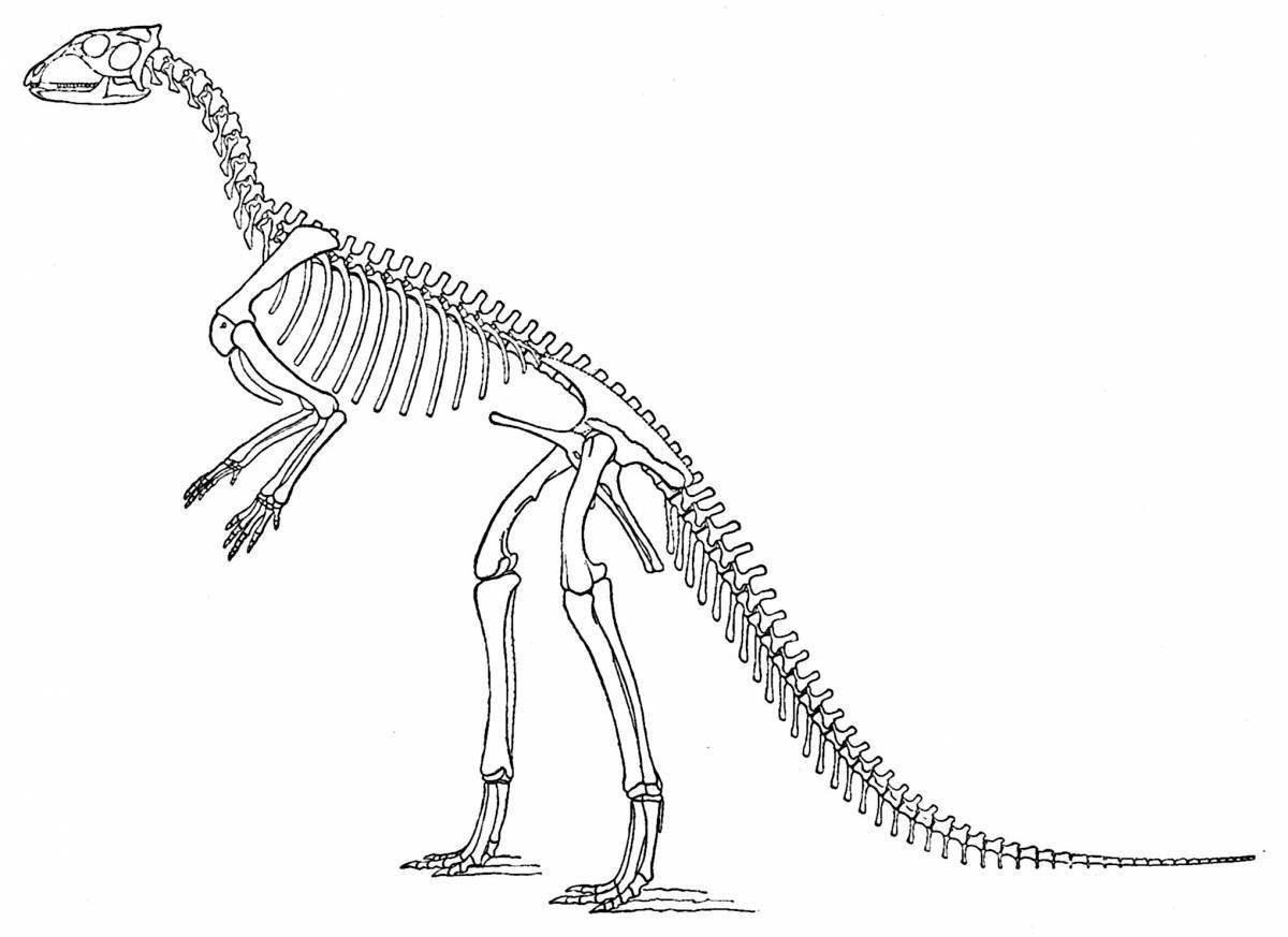 Exotic coloring dinosaur skeleton