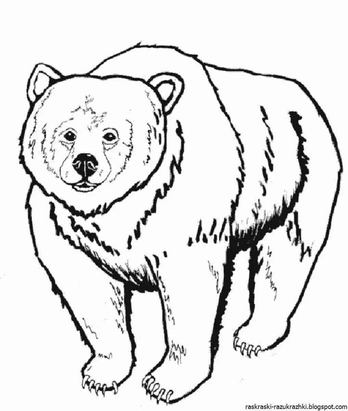 Coloring book fluffy bear
