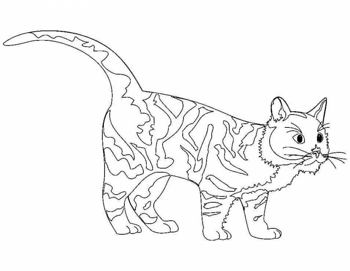 Элегантная бенгальская кошка раскраска