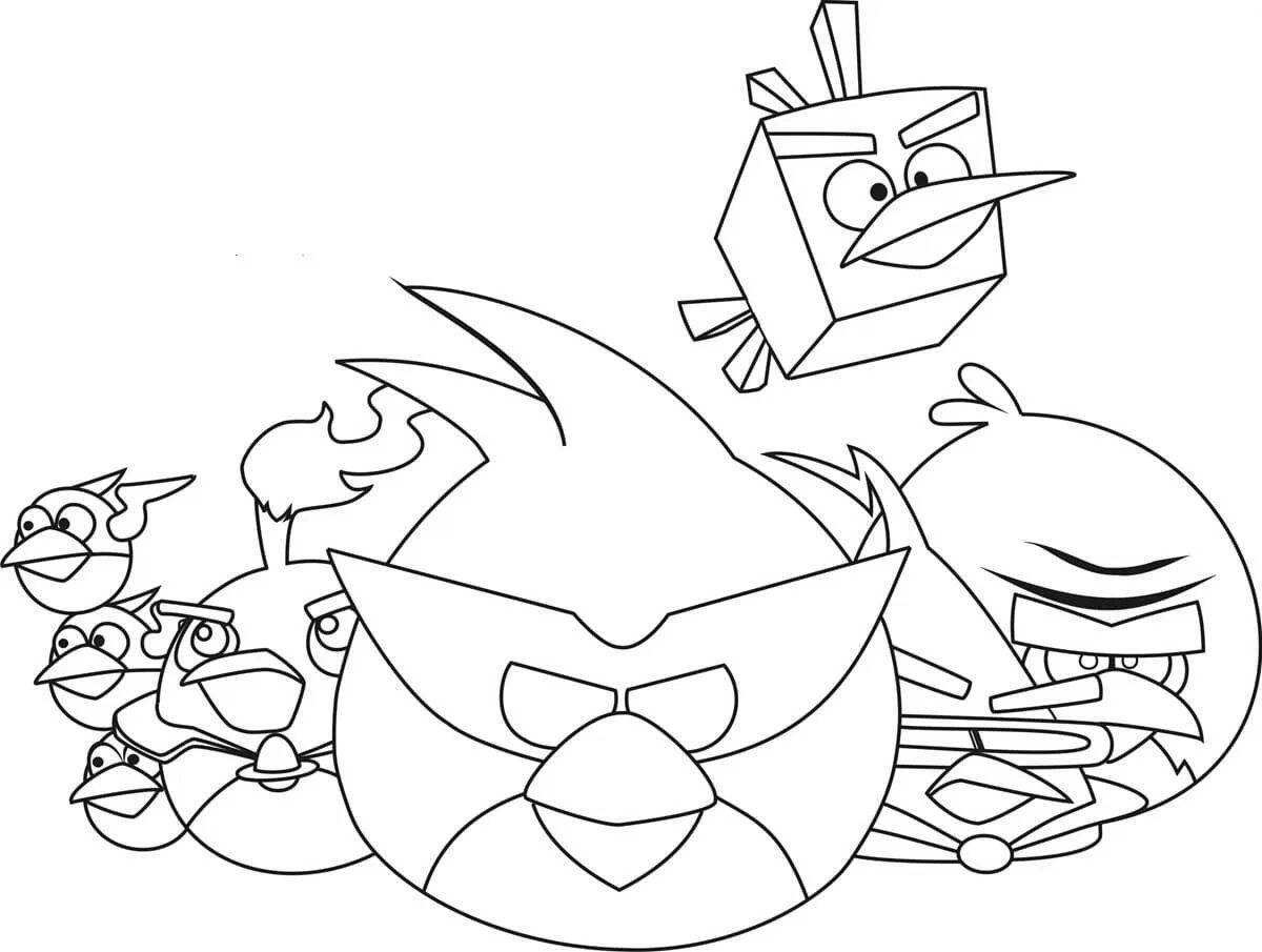Charming angry birds coloring book