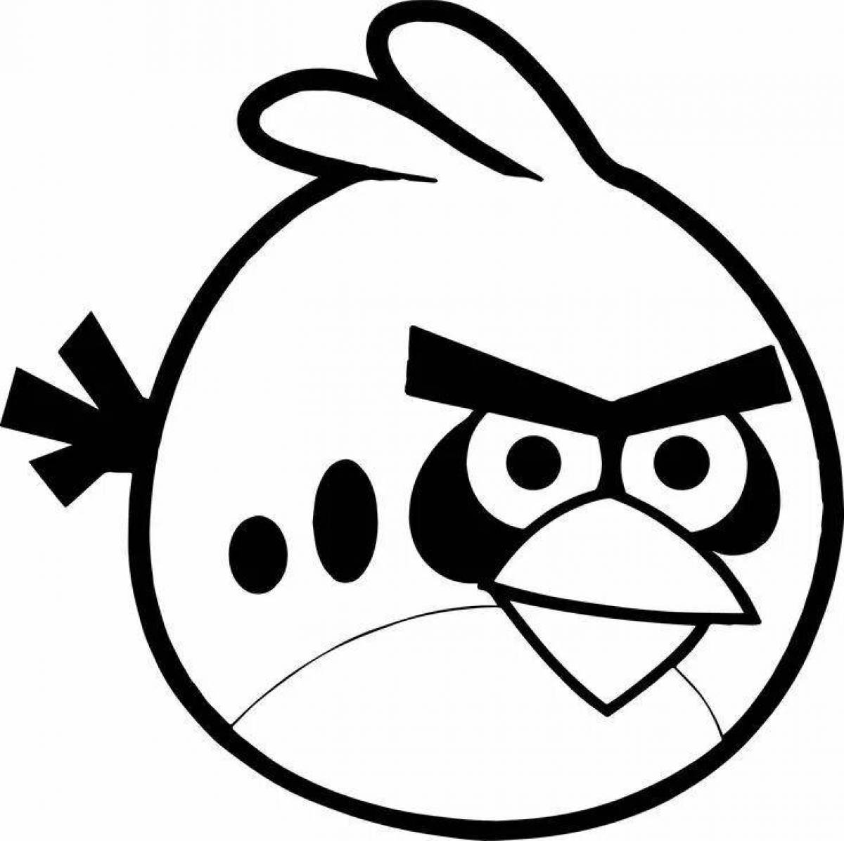 Delightful angry birds coloring book