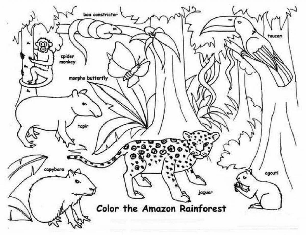 Big coloring animal world