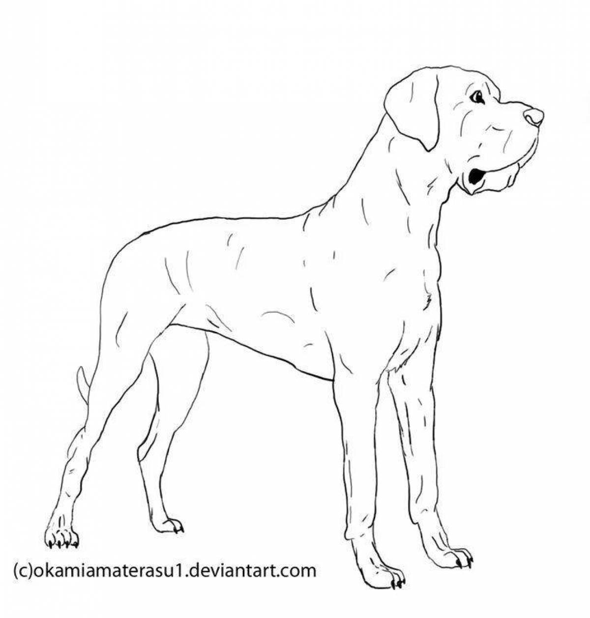Adorable Dog Cardboard Coloring Page