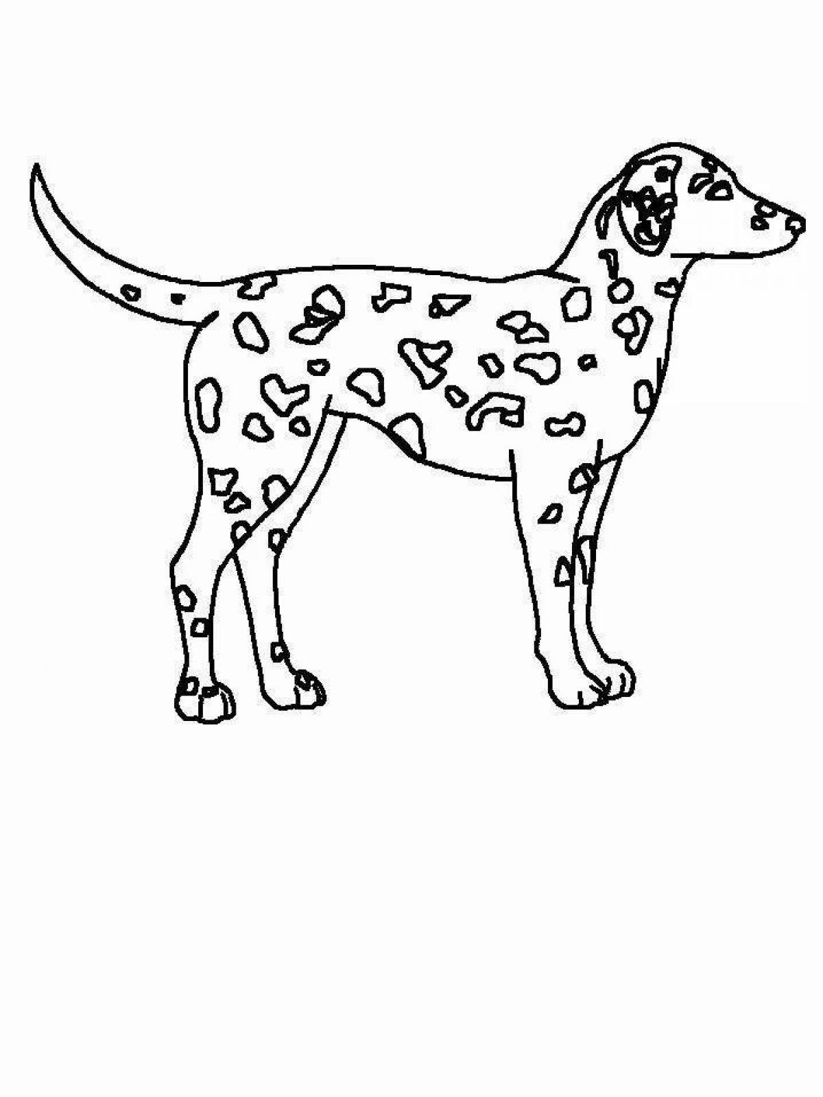 Забавная раскраска собаки из картона