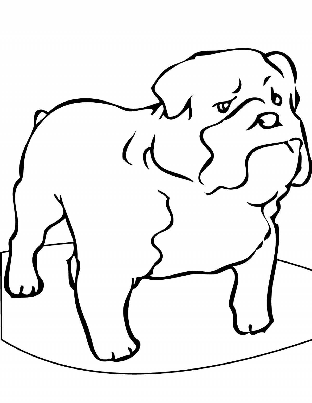 Раскраска энергичная картонная собака