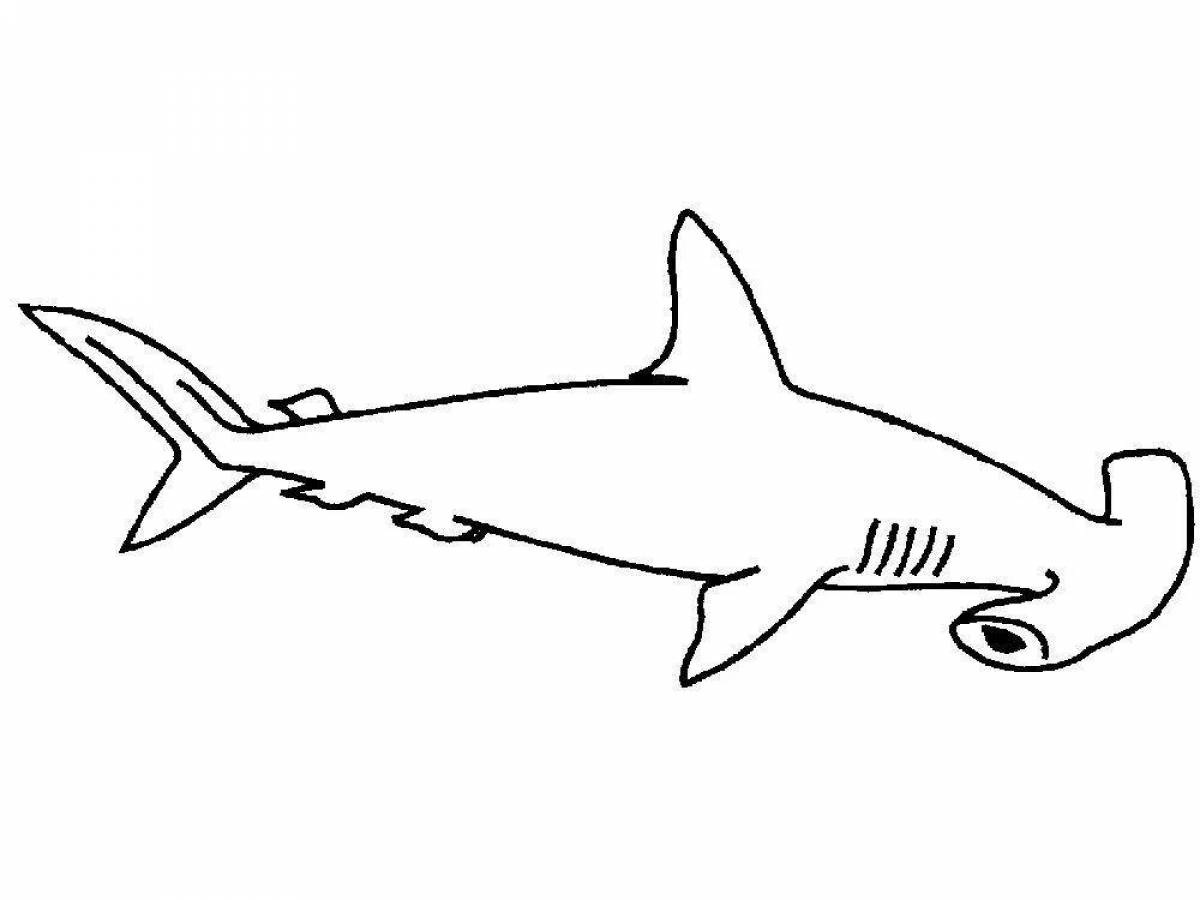 Акула молот раскраска для детей