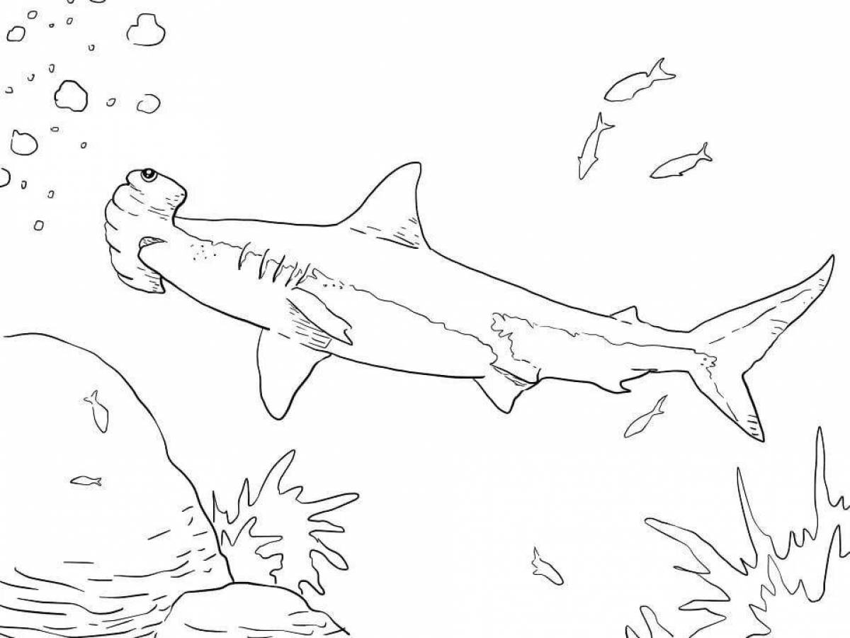 Adorable hammerhead shark coloring page