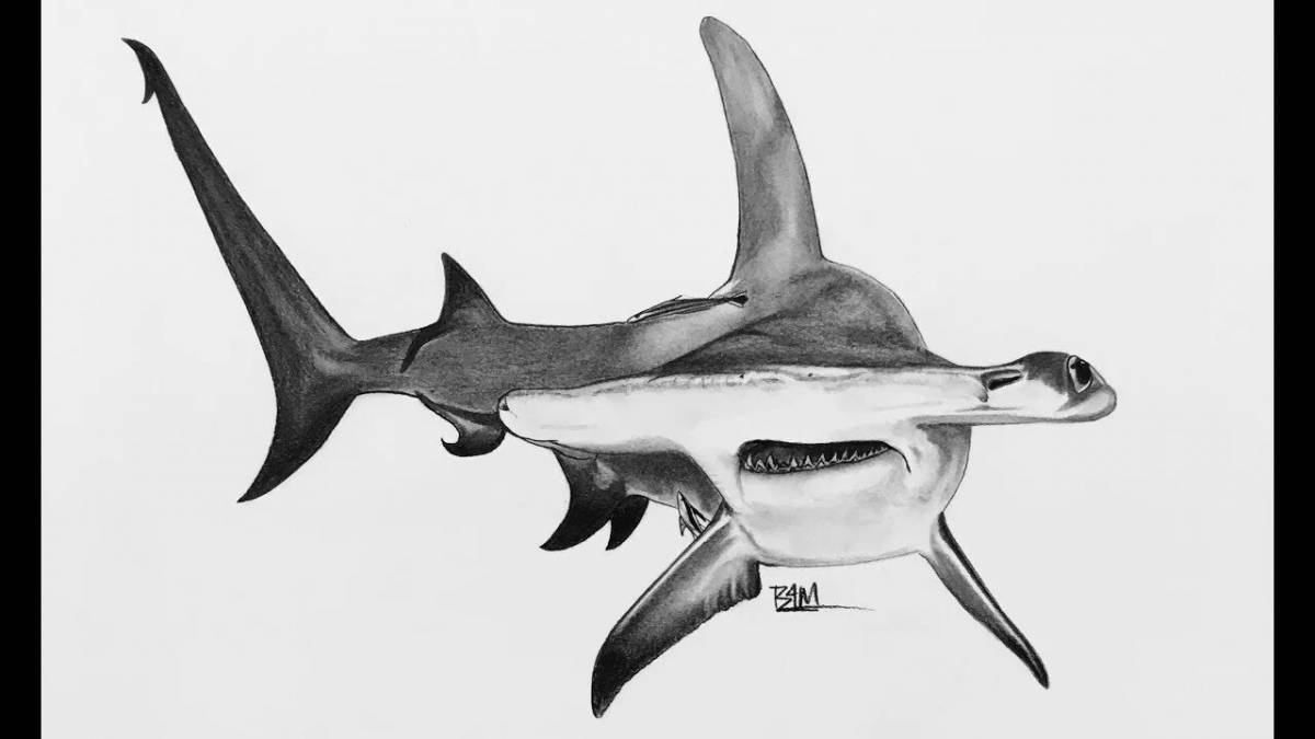 Раскраска сказочная акула-молот