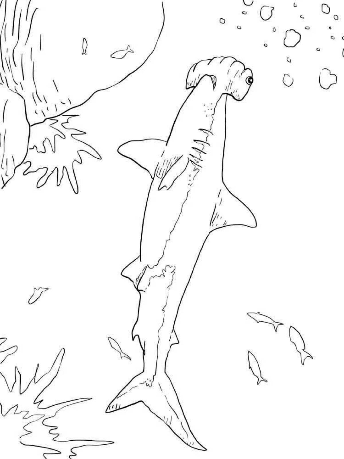 Coloring book magnanimous hammerhead shark